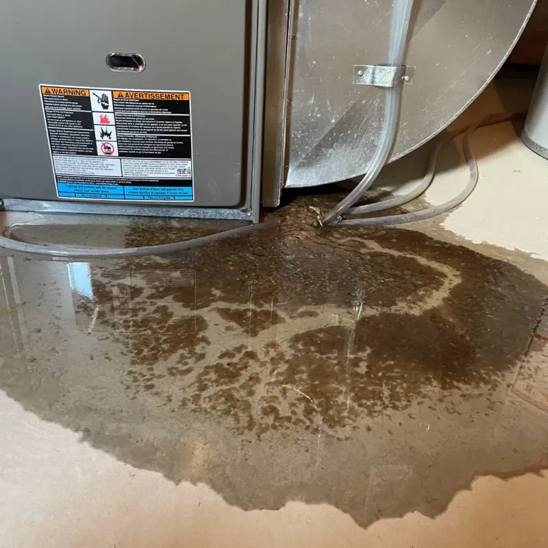 Appliance Leak Cleanup in Danville, AL
