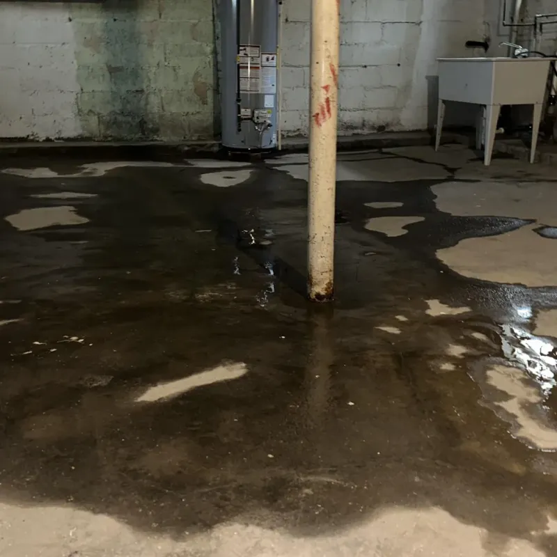 Emergency Water Extraction And Removal in Danville, AL